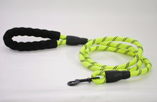 Load image into Gallery viewer, Lil Scoopy Leash