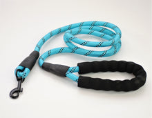 Load image into Gallery viewer, Lil Scoopy Leash