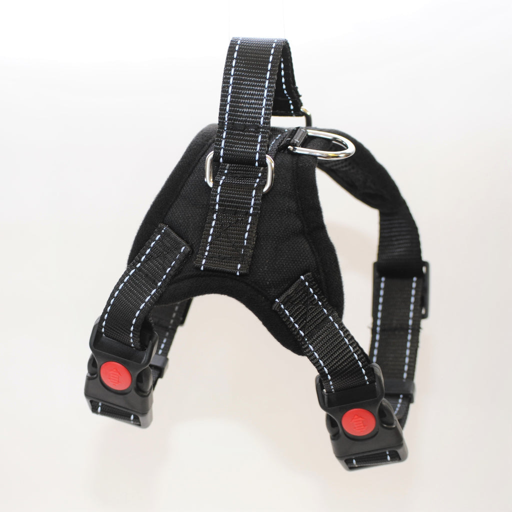 Dog Harness