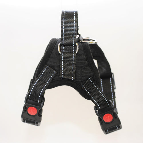 Dog Harness