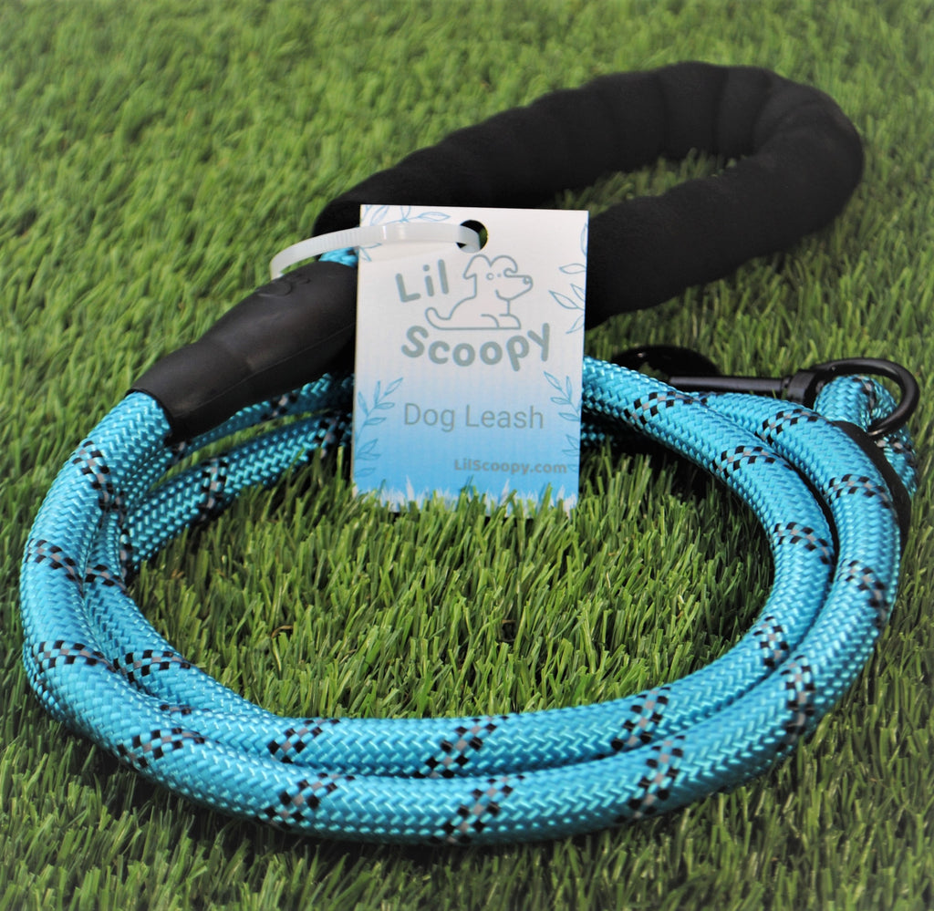 Lil Scoopy Leash
