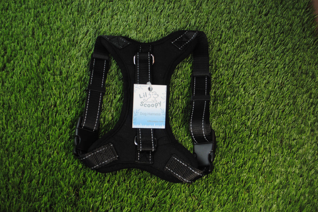 Dog Harness