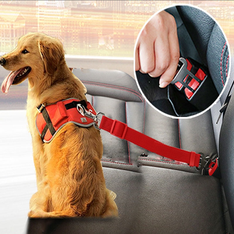 Car Seat Safety Belt Leash