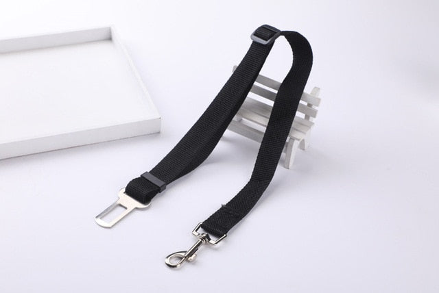 Car Seat Safety Belt Leash