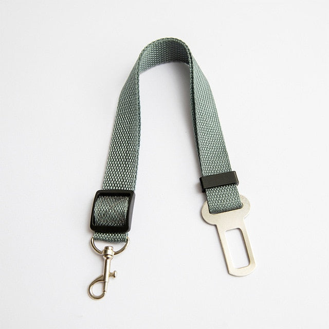 Car Seat Safety Belt Leash