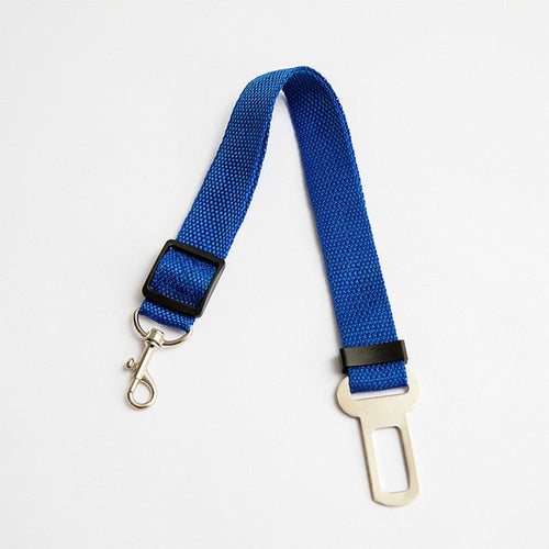 Car Seat Safety Belt Leash