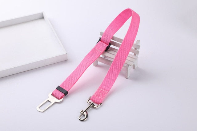 Car Seat Safety Belt Leash