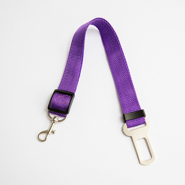 Car Seat Safety Belt Leash