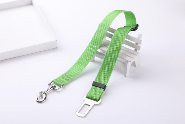 Car Seat Safety Belt Leash