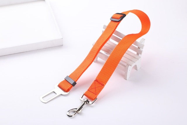 Car Seat Safety Belt Leash