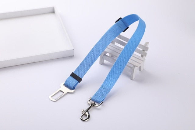 Car Seat Safety Belt Leash